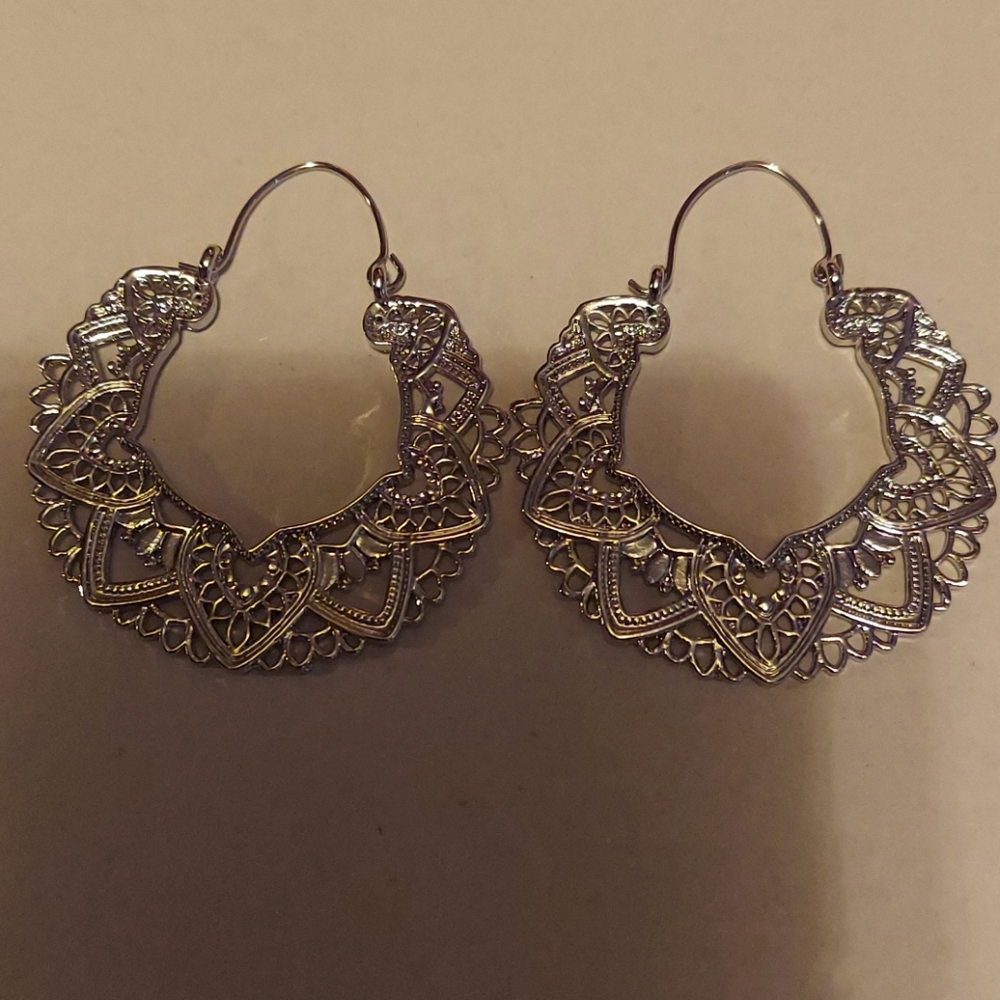 Earrings nwot